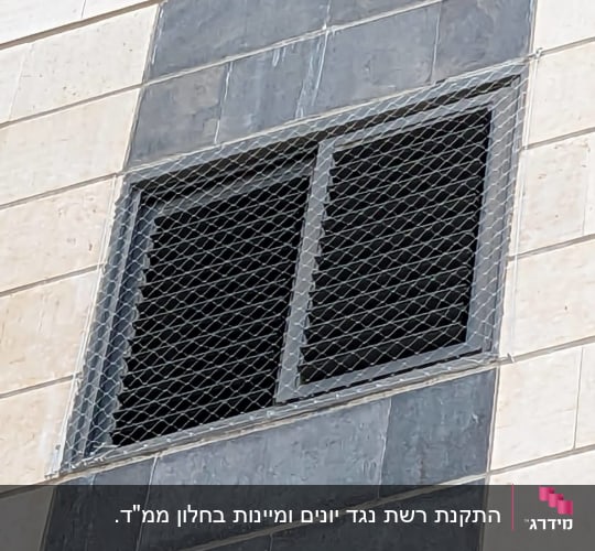 חלון עם רשת למניעת כניסת יונים